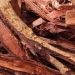 Ayahuasca Pack for 2: Ultimate